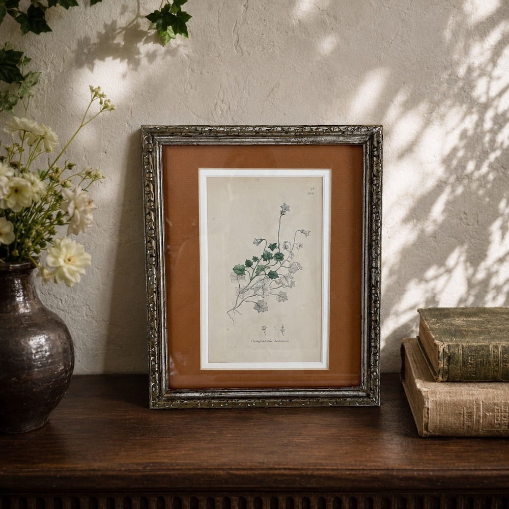 Gold Framed Campanula Hederacea Botanical Print Vintage 1829 9x11 Wall Art
